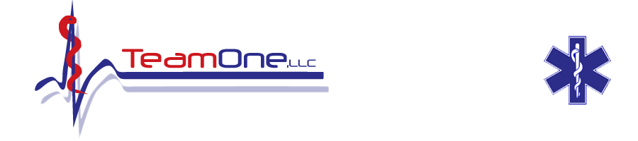 Team One, L.L.C serves Southcentral Alaska